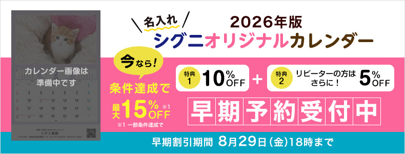 ySPEzu[ybgJ_[2026@