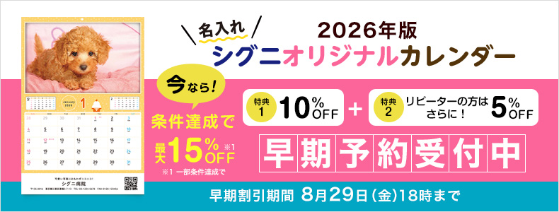 ySPEzu[ybgJ_[20263