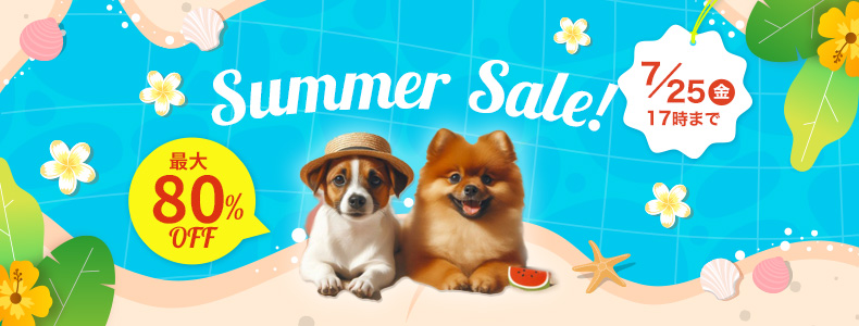 ySPEzSummerSale@2025N6