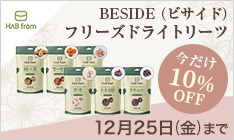 �ySPE�z�n�[�g�����h BESIDE �f�r���[CP