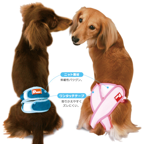 マナーベルト マナーパンツ シグニ ペットスペシャリスト