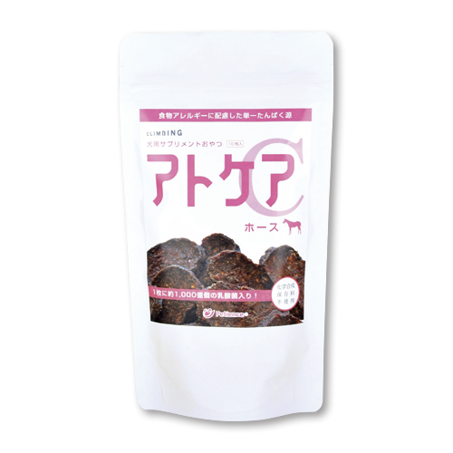 yؔzAgPAC@z[X@gp2026/2/7