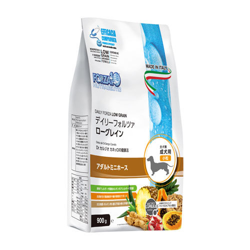 yؔzfC[tHc@~jz[X@gp2026/2/28