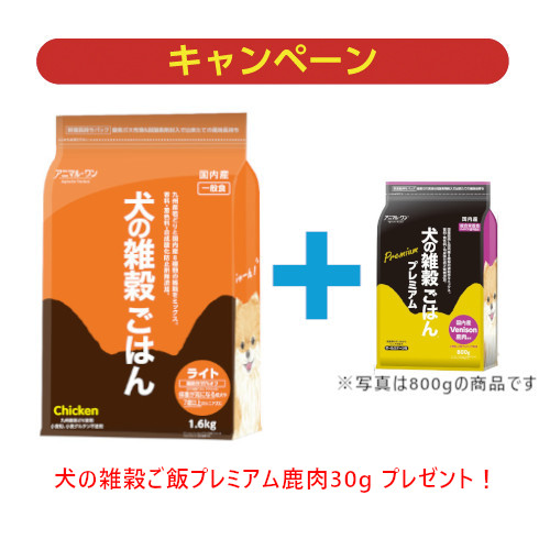 ̎G͂i`LECgjPDUEv~ATvt