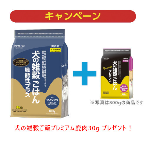 ̎G͂@\tBbVWOOEv~ATvt