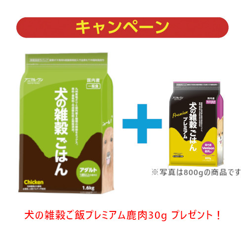 ̎G͂i`LEA_gjPDUEv~ATvt