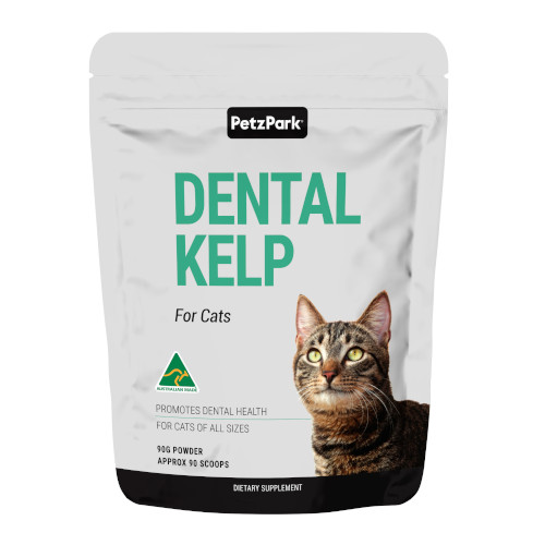 ybcp[N LpTvg v[NRg[ 90g