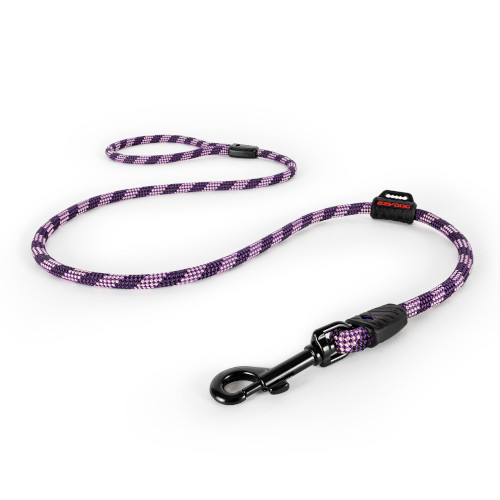 �T�~�b�g���[�h