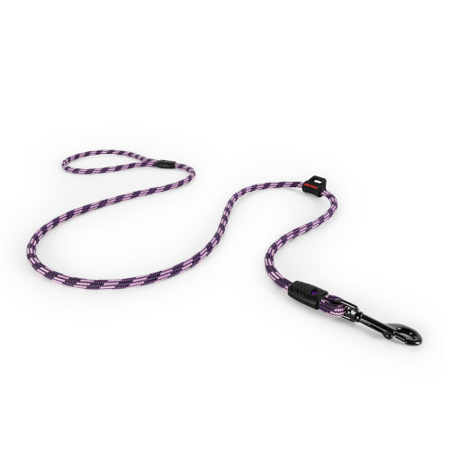 �T�~�b�g���[�h���C�g