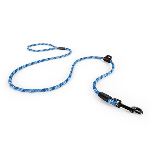 �T�~�b�g���[�h���C�g