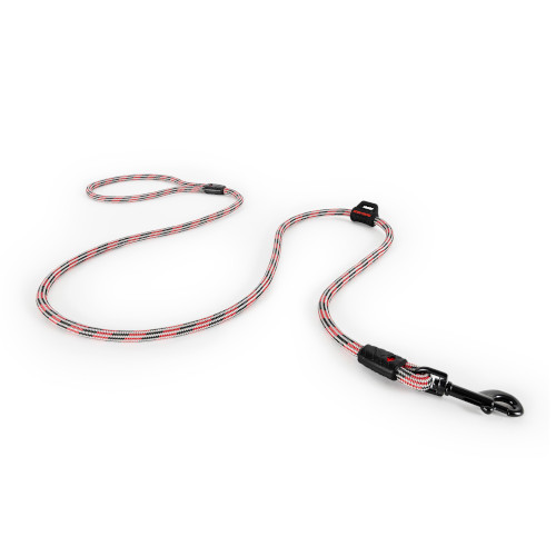 �T�~�b�g���[�h���C�g