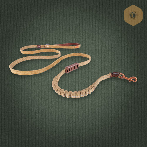 �[���V���b�N���C�g