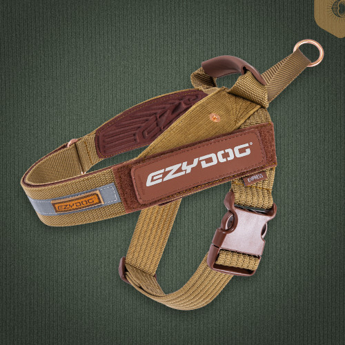 �G�N�X�v���X�n�[�l�X