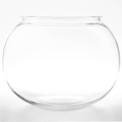 �L���e�B�X ����Ȃ��L�� M�T�C�Y