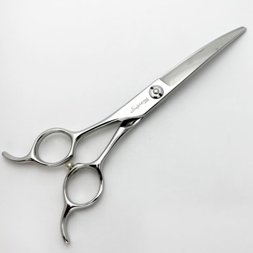 �T�v���[�� �u�����f�B���O�V�U�[ ���p