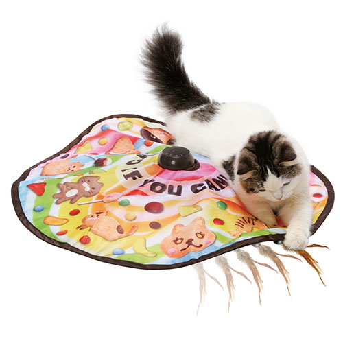 �L���b�`�E�~�[�E�C�t�E���[�E�L�����Q