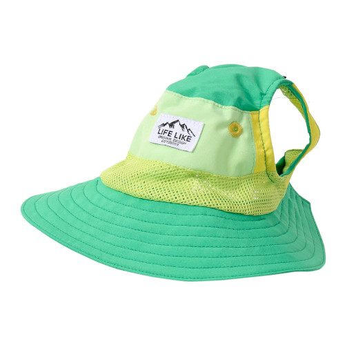 �r�^�~���J���[�n�b�g�A�b�v���O���[��