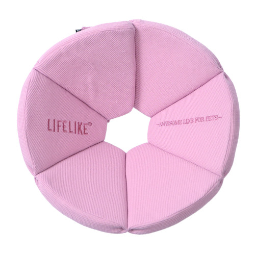 �I�[�K�j�b�N���b�t���G���U�x�X�J���[�X���[�L�[�s���N