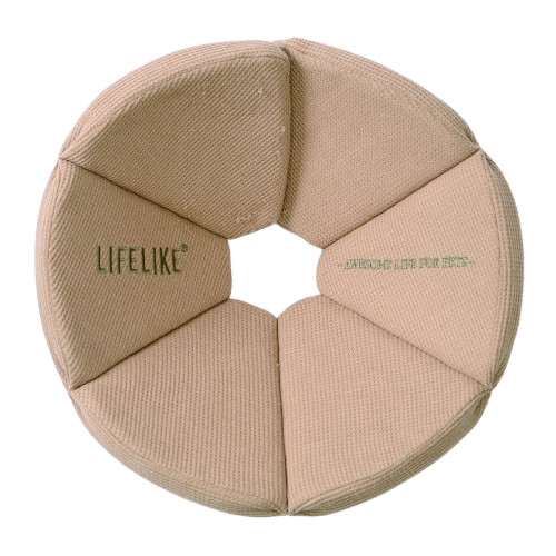 �I�[�K�j�b�N���b�t���G���U�x�X�J���[���J