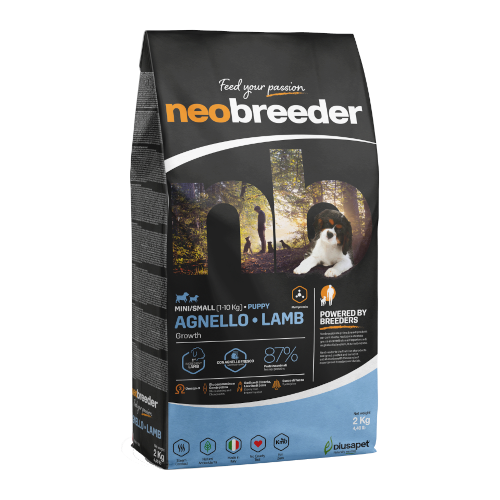 �y�����ؔ��z�l�I�u���[�_�[�@�����@�p�s�[�i�����j�@�g�p����2026/4/25