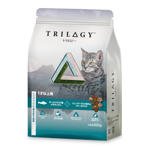 �g�����W�[�o���}���f�B�@���L�p