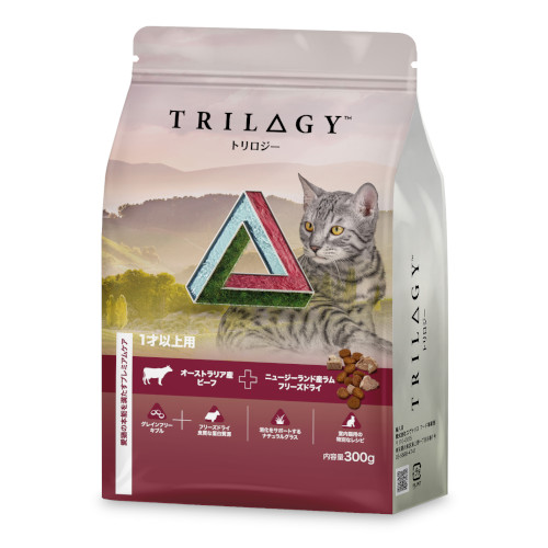 �g�����W�[�r�[�t�@���L�p