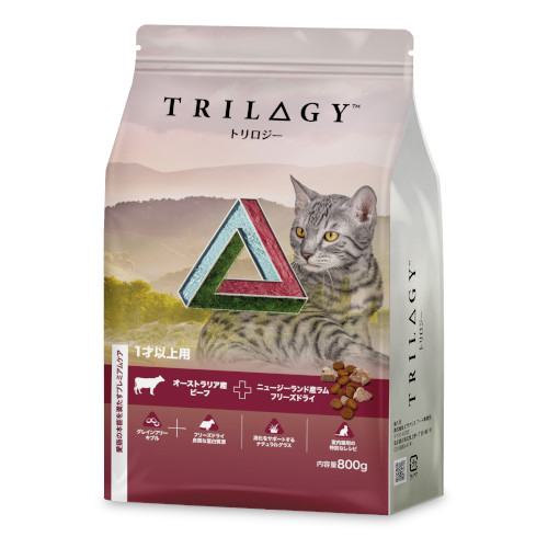 �g�����W�[�r�[�t�@���L�p