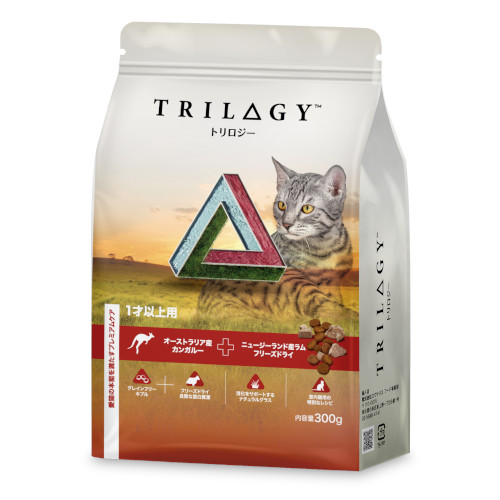 �g�����W�[�J���K���[�@���L�p