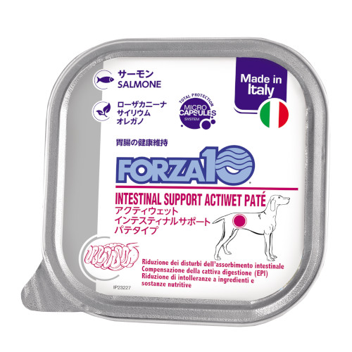 �C���e�X�e�B�i�� �A�N�e�B�E�F�b�g�i���p�j