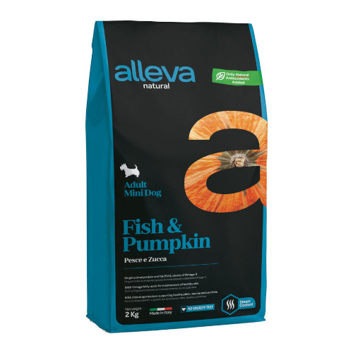 �y�����ؔ��z�A�����@�E�i�`�������@�t�B�b�V��&�p���v�L���@�����p�i�����j�@�g�p����2026/6/11