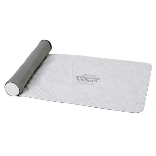 5503 �A�C�V�[�R�[�W�[���[���}�b�g