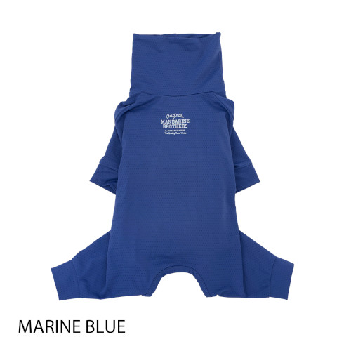 1304 �C���Z�N�g�V�[���h�X�L���^�C�g�X�[�c