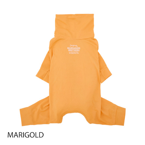 1304 �C���Z�N�g�V�[���h�X�L���^�C�g�X�[�c