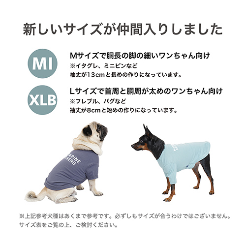 販売終了 Basic Cool T Shirt シグニ ペットスペシャリスト 販売終了 Basic Cool T Shirt シグニ ペットスペシャリスト