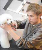 OLLIE MAGIC 藤原直英 様