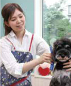 ドッグサロンOLIOLI 星野伊織 様