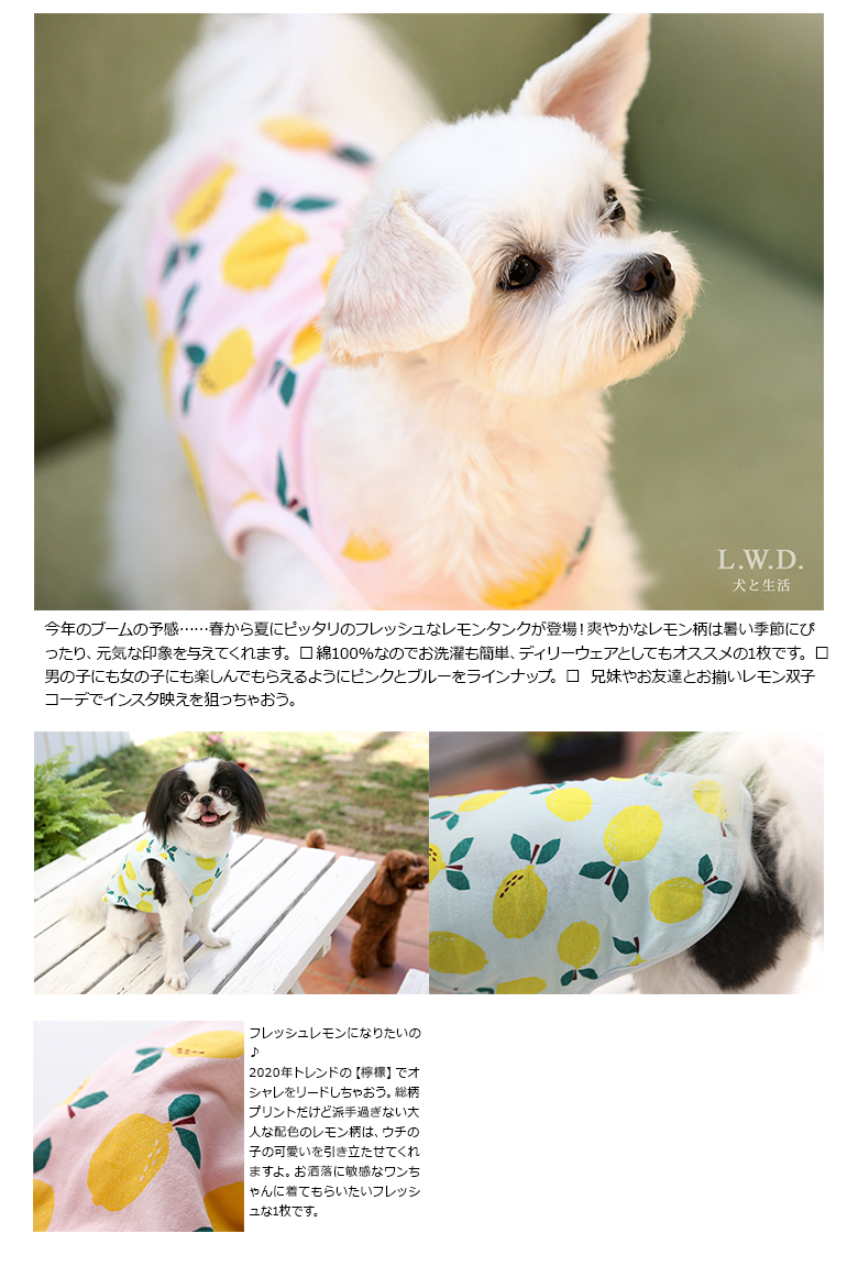 販売終了 レモンタンク シグニ ペットスペシャリスト