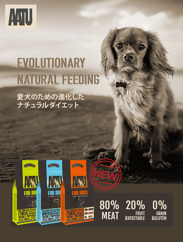 AATU �����̂��߂̐i�������i�`�������_�C�G�b�g