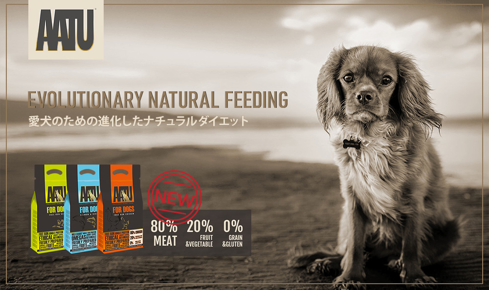 AATU �����̂��߂̐i�������i�`�������_�C�G�b�g