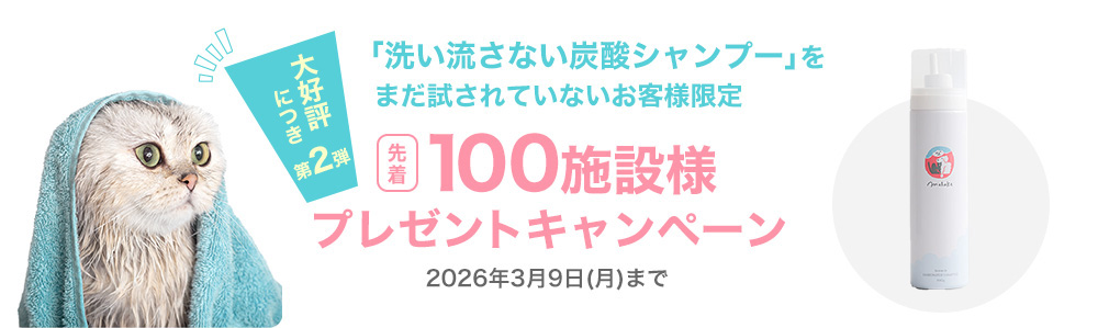 �􂢗����Ȃ��Y�_�V�����v�[�v���܂�������Ă��Ȃ����q�l����撅50�{�ݗl�v���[���g�L�����y�[���@2026�N3��9��(��)�܂�