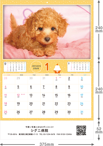 �Ǌ|���^�C�v �T�C�Y�摜