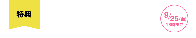 �V�K�w���̕���5��OFF